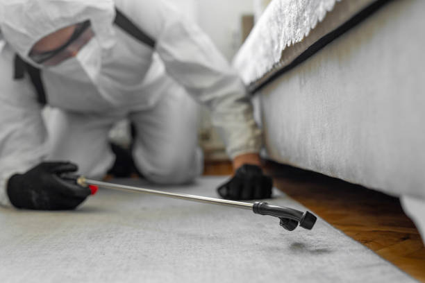 Professional Termite Control technician working in Eagle Pass, TX