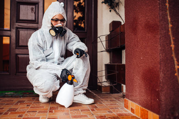 Reliable Termite Control contractor in Eagle Pass, TX by Nex Pest Control